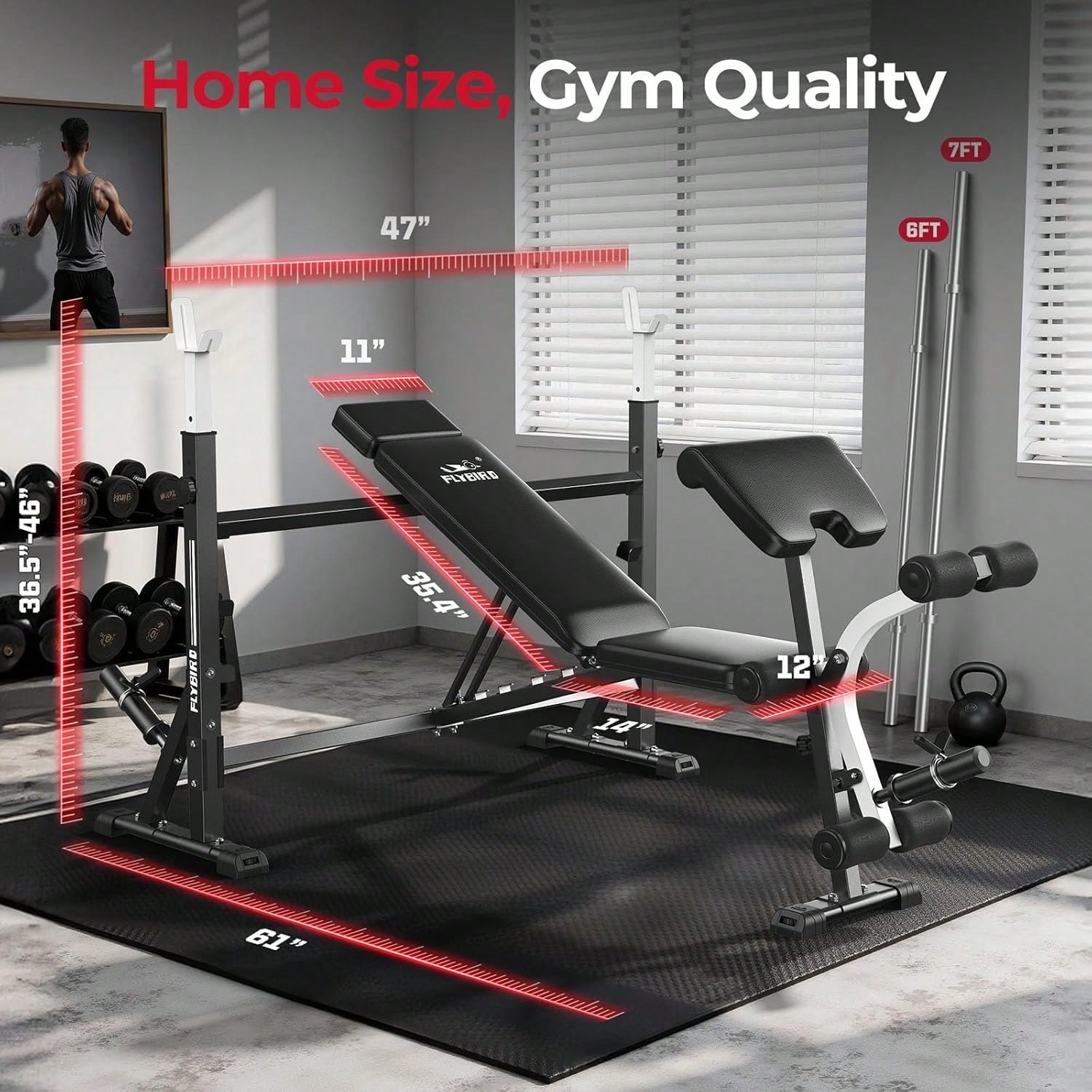 Banco de Pesas Ajustable FLYBI - Home Gym Leg Extension reseña y precio
