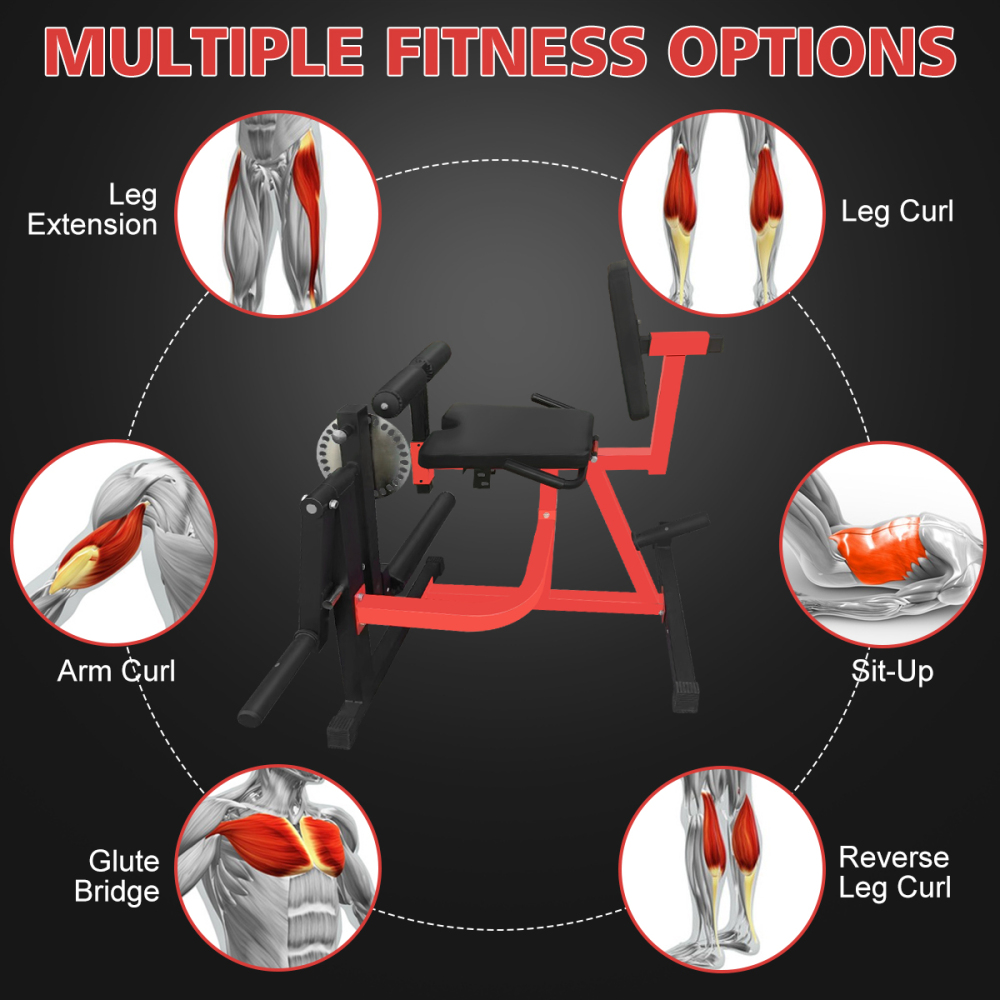 Máquina Ajustable para Extensi - Home Gym Leg Extension reseña y precio