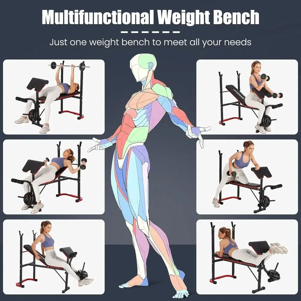 Banco de Pesas Ajustable 8 en  - Home Gym Leg Extension reseña y precio